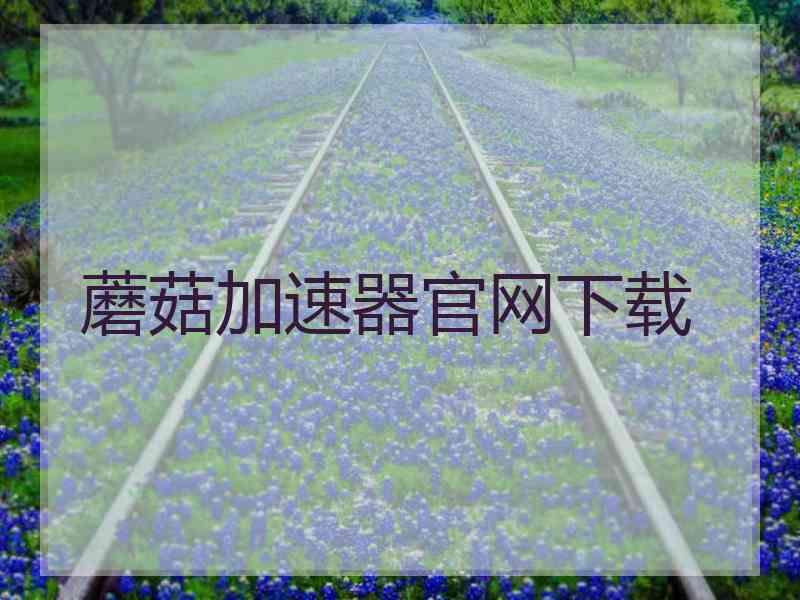 蘑菇加速器官网下载