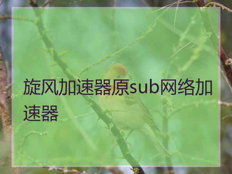 旋风加速器原sub网络加速器