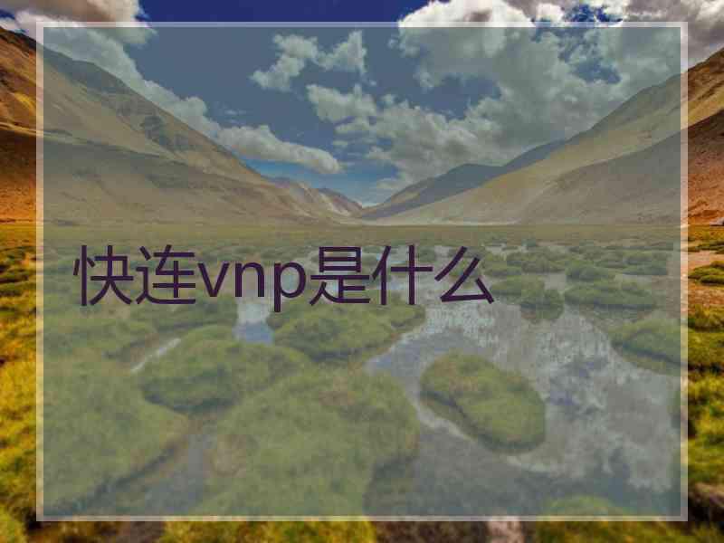 快连vnp是什么