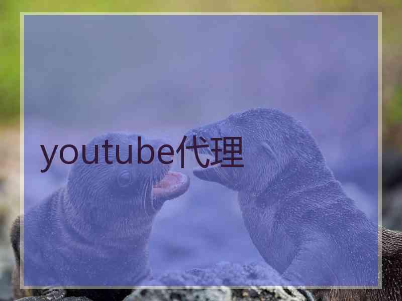 youtube代理