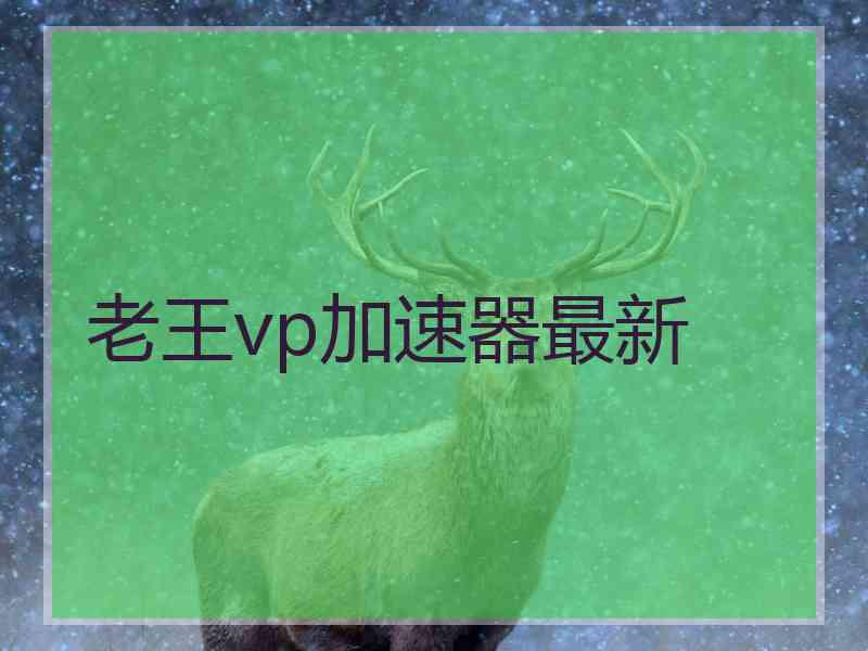 老王vp加速器最新