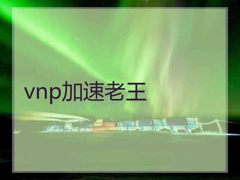 vnp加速老王