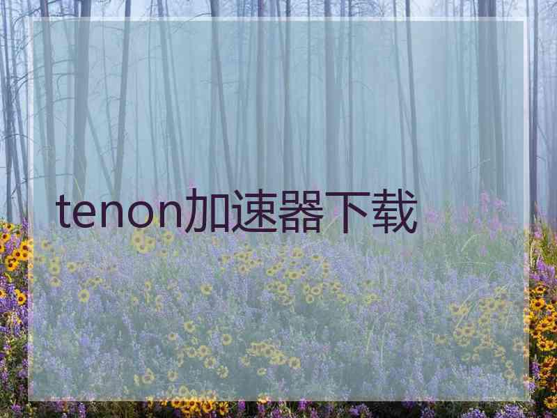 tenon加速器下载