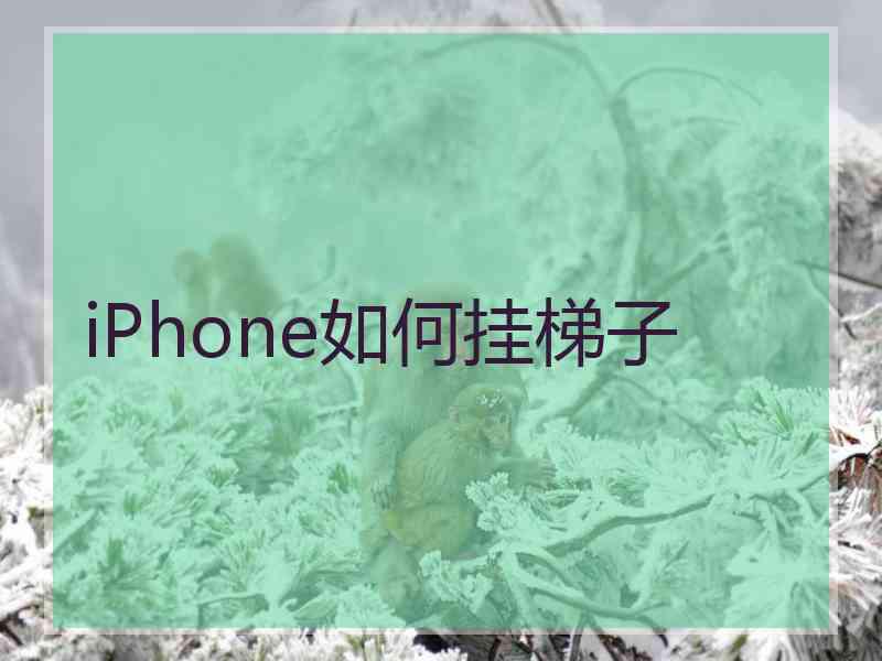 iPhone如何挂梯子