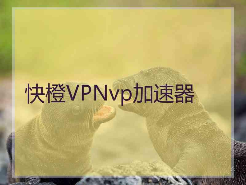 快橙VPNvp加速器