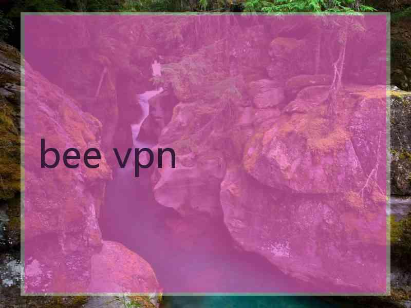 bee vpn