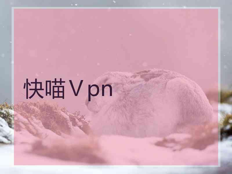 快喵Ⅴpn